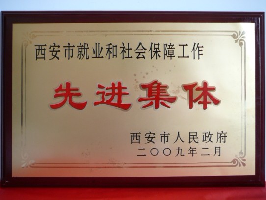 2009年2月，被西安市政府評為西安市就業(yè)和社會保障工作先進集體
